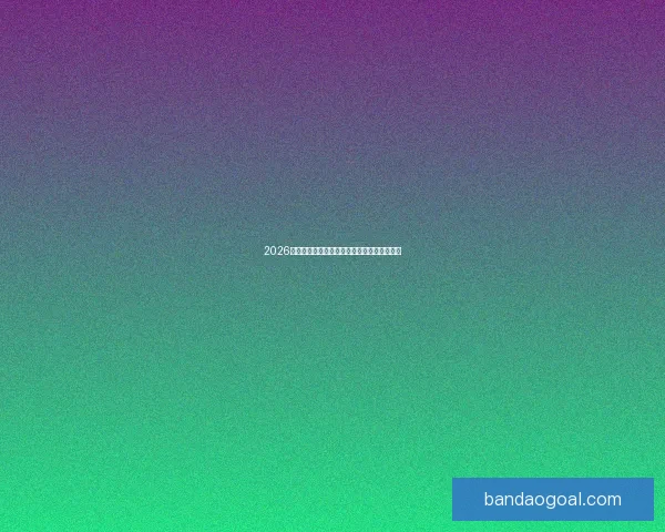 2026世界杯买球平台全面解析及热门投注选项推荐