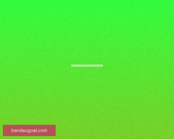 世界杯足球竞猜盘口全面解析与投注技巧深度指南