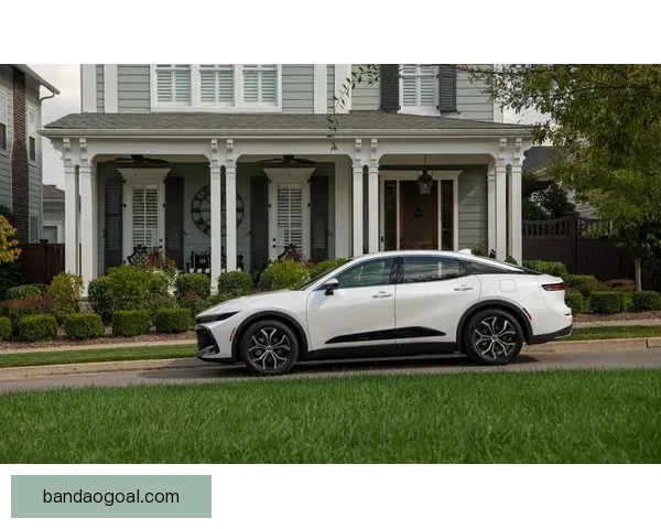 半岛体育手机版助力体育迷轻松掌握最新赛事资讯与直播体验