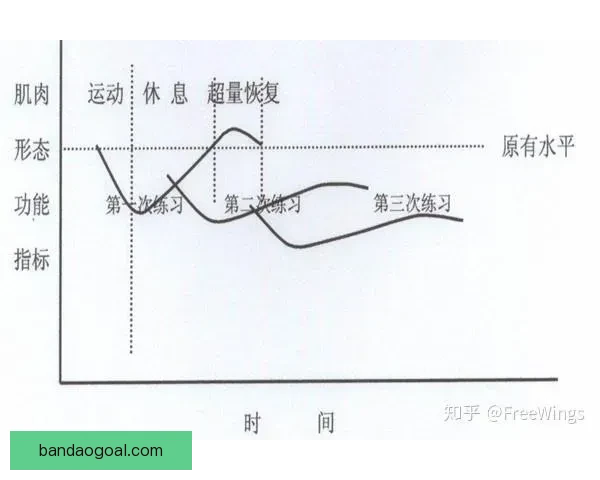 卡莱尔透露哈利伯顿伤病恢复顺利 已开始进行力量训练 卡莱尔透露哈利伯顿伤病恢复顺利 已开始进行力量训练