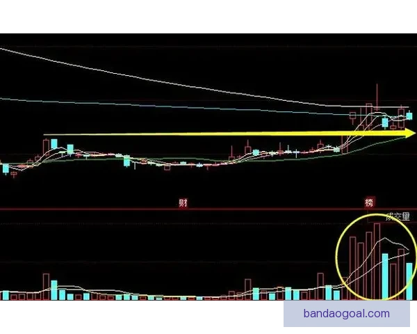基于数据模型与盘口变化的世界杯竞猜精准预测策略深度解析方法研究